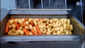 Машина для мойки овощей