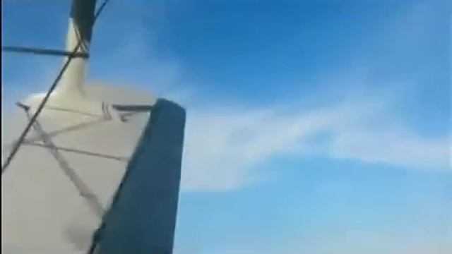 От пожирающего деревья шелкопряда обработали около 900 тысяч гектаров тайги, 7 канал Красно смотреть онлайн