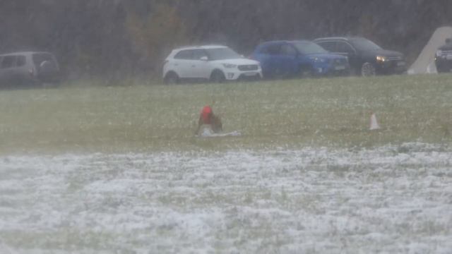 Чирнеко дель Этна SOLLUCERO К и SERDZHIO Б. CACIL-CACL 2019. Курсинг на Ярославке.