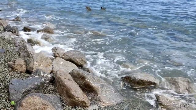 Пляжи Большой Ялты сегодня. пос. Никита смотреть онлайн