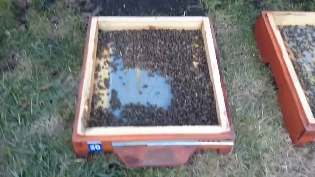 СЕТЧАТОЕ ДНО ИТОГ ЗИМОВКИ 2017 -- Полный обзор . смотреть онлайн