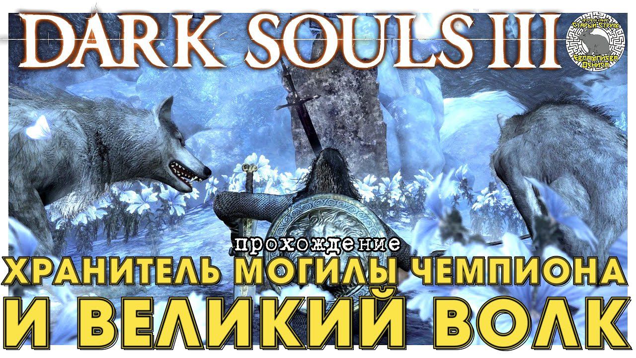 Dark Souls 3 прохождение 15 I Хранитель могилы чемпиона и великий волк