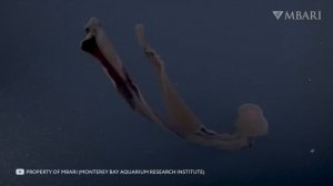 100-Самых-Невероятных-Мест-на-Планете