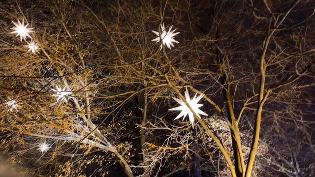 VLOGMAS 2023: зимний Питер + МНЕ СНЯЛИ БРЕКЕТЫ смотреть онлайн