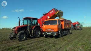 Собрать и накормить – работники сельского хозяйства Новосибирской области подводят итоги 2020 года