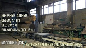 СВЧ сушка бревен мореного дуба.