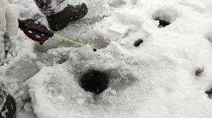 Рыбалка на Баклановском озере. База отдыха "Серебряное озеро". Ханты-Мансийский А.О. - Югра.