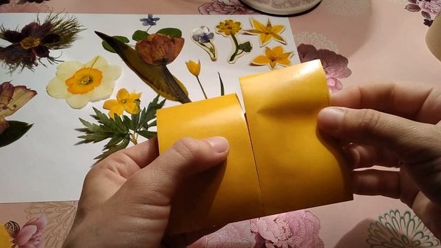 Наклейки из сухоцветов. Как сделать наклейки своими руками?
