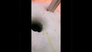 Ловля чебака зимой!!!! #Fishing in the winter#!!