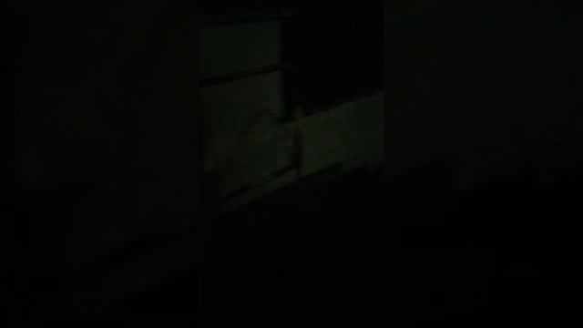 Сравнение "как есть, как должно быть", плоды правления #ЕдРа смотреть онлайн