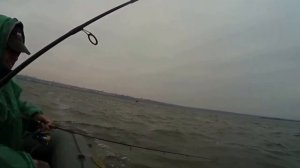 Ловля бычка на Южном Буге в эктремальных условиях
