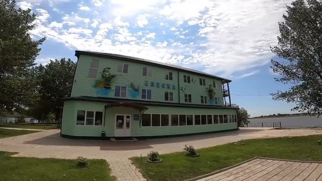 PAL 2020. Часть 1. "Начинаем выезжать"