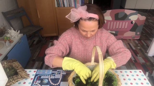 Сад на окне в плетёной корзине.