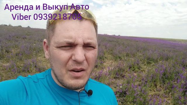 Теплодар/Дельфиниум/Конопля/ смотреть онлайн