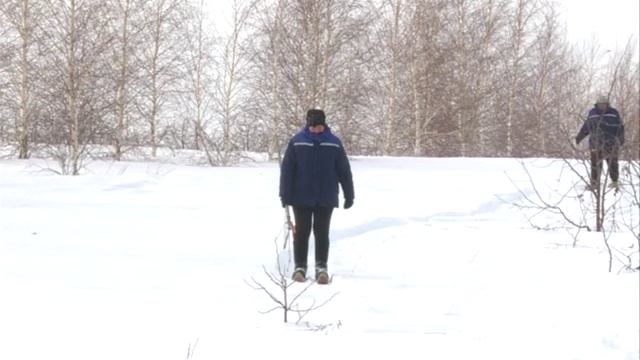 В ожидании урожая смотреть онлайн