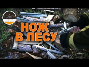 Нож — главный помощник в лесу! | Секреты бушкрафта от Rezat.Ru