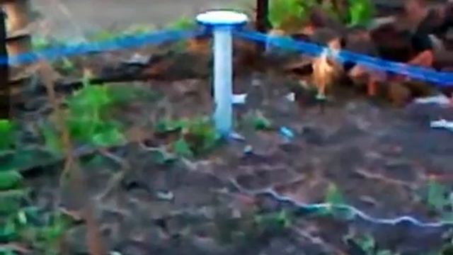 Закручивание винтовых свай для дома смотреть онлайн