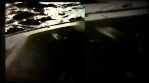 9mice - Lungs Flowers / Vnutri