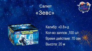 Салют "ЗЕВС" 100 0,8