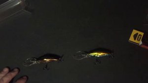 Обзор воблеров Yo-Zuri Duel Hardcore Deep Crank 60F F1023 (11г) по заказу Fmagazin.