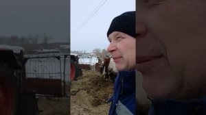 Нужен ли в селе фермеру в деревне трактор ЮМЗ с КУНом ковшом