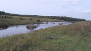 Пруд с. Сузгарье 18.08.2019