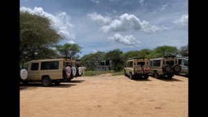 Танзания 2020 (Интро + Национальный парк Тарангире)