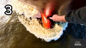 Для чего эта штука на корабле? Бульб на носу судна. Бульба.