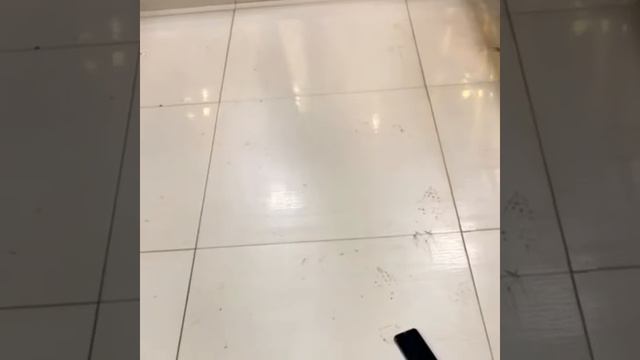 Защита смартфона protec смотреть онлайн