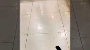 Защита смартфона protec