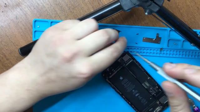 Не активна кнопка громкой связи,не работает микрофон. Ремонт АУДИОКОДЕКА IPHONE 7