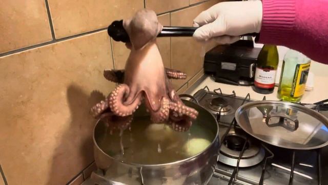 ЯК ПРАВИЛЬНО ЗВАРИТИ ВОСЬМИНОГА : ПОРАДИ ДОСВІДЧЕННОЇ ГОСПОДИНІ смотреть онлайн