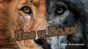 Егор Кострома - Лев и Волк