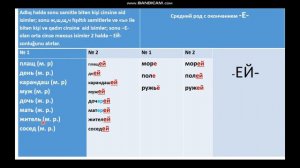 Урок № 56. Родительный падеж множественного числа