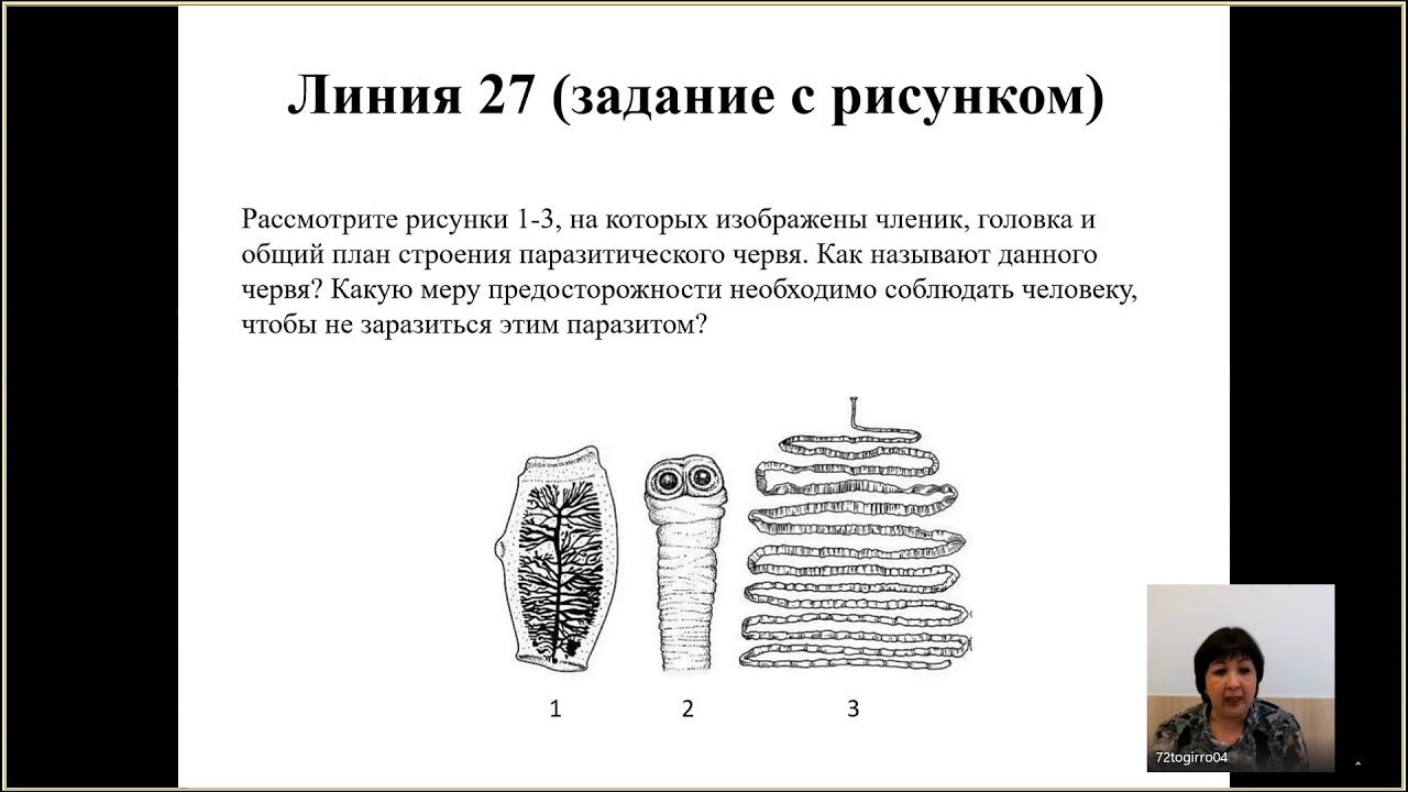 Подготовка к ГИА. Биология 9 класс. 27.02.2020