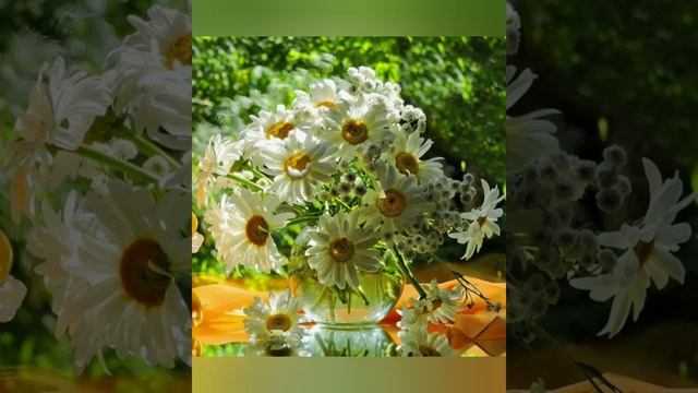 26 июня - Акулина Гречишница смотреть онлайн