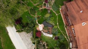 Сделали в саду пруд мечты с рыбой и лотосами