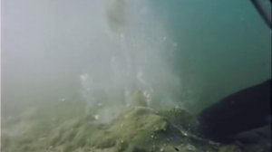 Одиссея Жака Кусто - Забытый остров Клиппертон