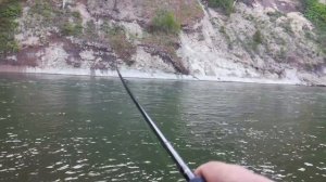 Сима, сима, кругом сима / Cherry Salmon everywhere