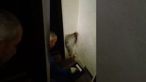 Уничтожение ? грибка белизной.
