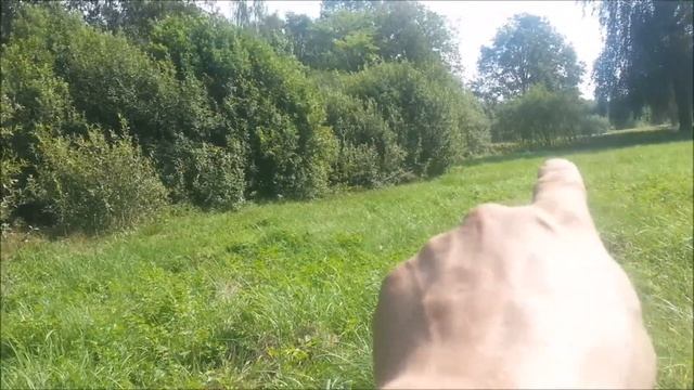 Искали золото а накопали Серебо.Передаём приветы.Dig File. смотреть онлайн