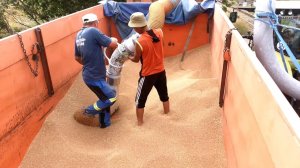 SupraVac 2000 Саратов