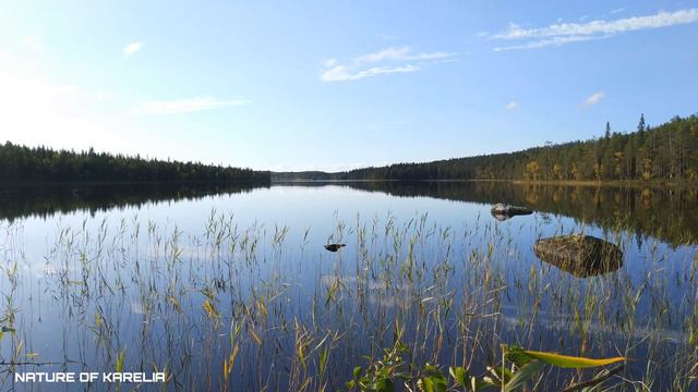 Northern Karelia. Serene lake / Северная Карелия. Безмятежное озеро