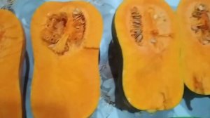 Тыква мускатная «ЯПОНКА» одна из лучших
