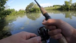 Fishing a HIDDEN Roadside Pond!!! (BIG FISH, PARASITES & LEECHES)