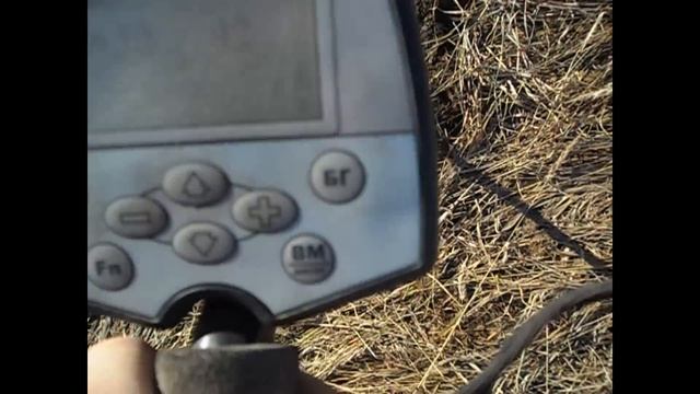 коп на выбитом месте металлоискатель беркут 5 *день пуговиц*