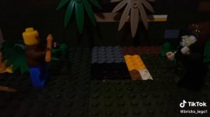 лесная ночь