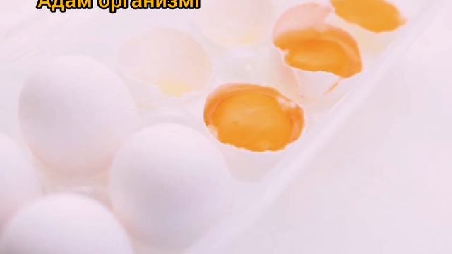 Жұмыртқа кабығын лақтырмаңыз смотреть онлайн