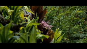 Самые Неизведанные Места На Планете Земля