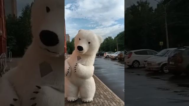 танцы!!!!! белый медведь #умка #великийновгород #тедди #праздник смотреть онлайн
